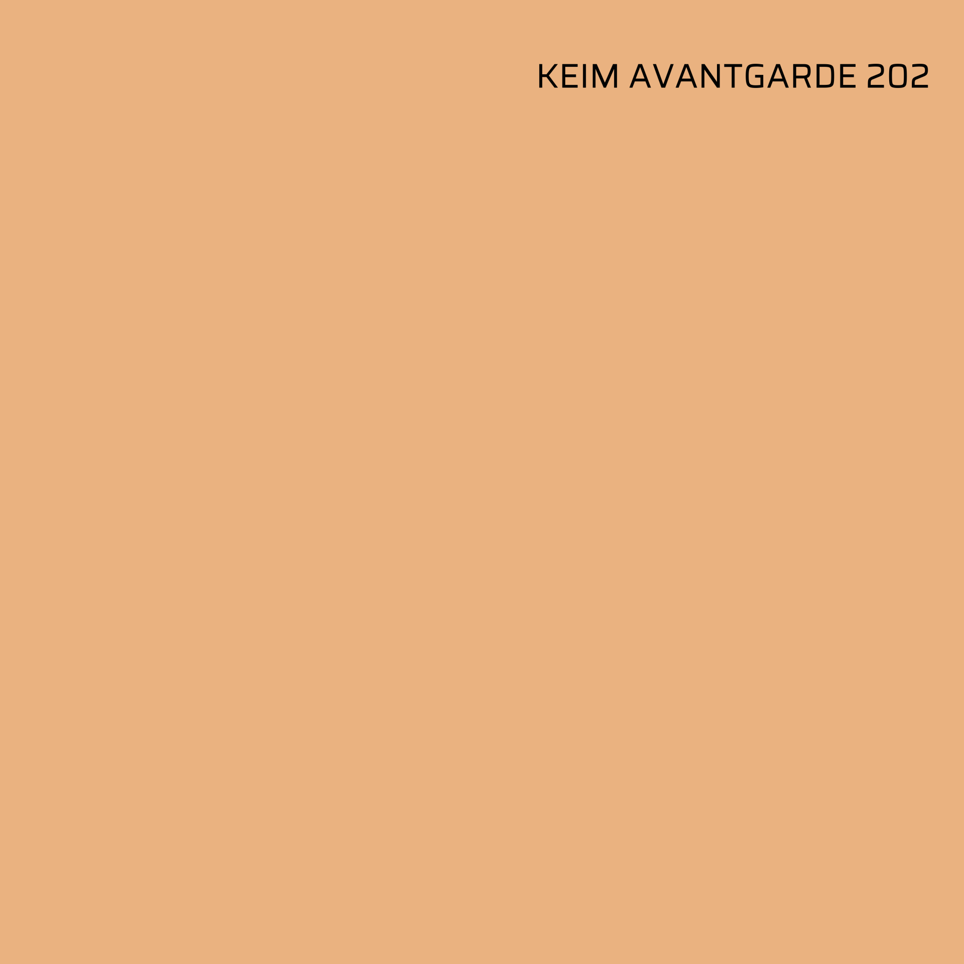 KEIM AVANTGARDE 202